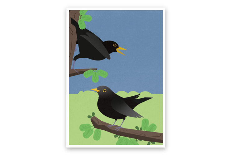misuki postkarte blackbird